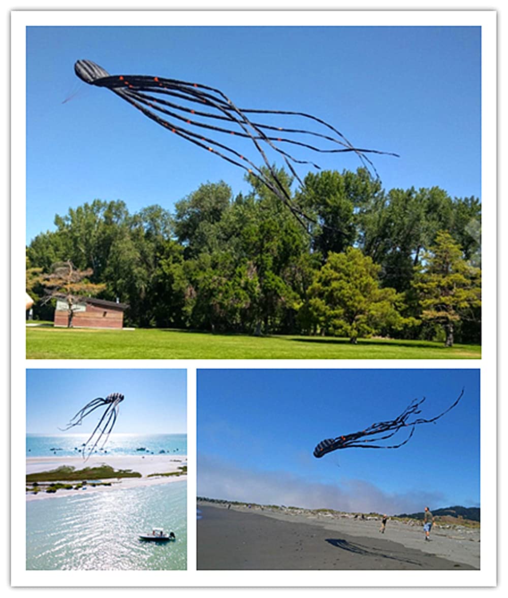 大凧 好きな文字で作成】飾り凧28cm×20cm(春日部の大凧) | 埼玉県